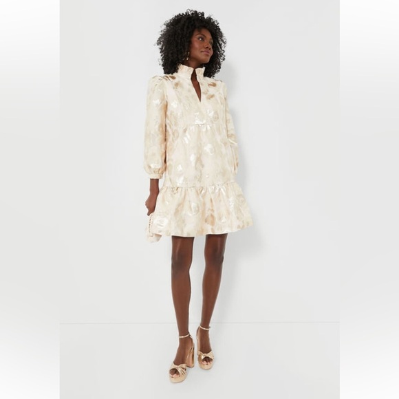 Tuckernuck Palmerston Dress M NWT Champagne Fil Coupe Puff Sleeve Ruffle Hem - Picture 7 of 11